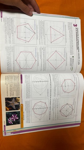 Educación plástica, visual y audiovisual II ESO