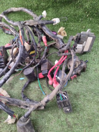 Cableado Riya Rome Keenrod Bravo 125 inyección