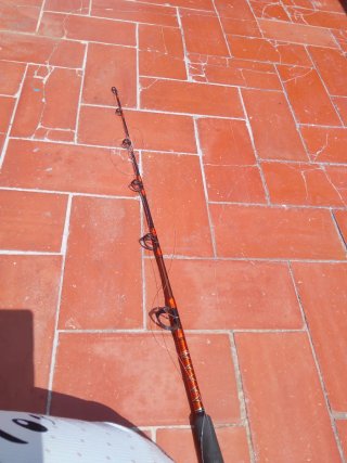 Caña de pescar y carrete de pesca
