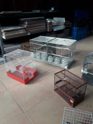 Lote 6 Jaulas Pájaros diferentes tamaños