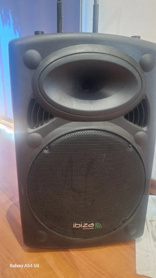 Altavoz Ibiza Sound 800W Negro