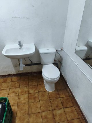Fontanero Profesional