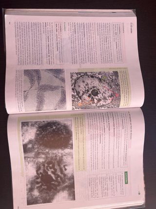 Libro de Biología 2 bachillerato