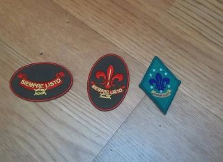 Insignias Progresión y Scouter Tropa ASIM