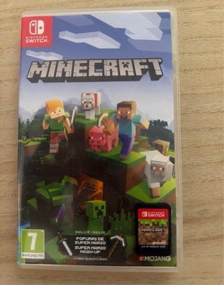 Minecraft Nintendo Switch