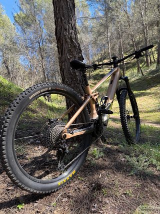 Orbea Wild H10 Talla M Eléctrica