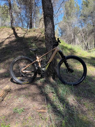Orbea Wild H10 Talla M Eléctrica