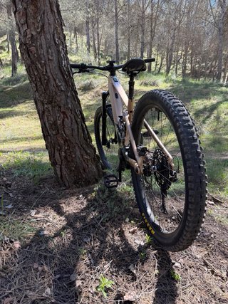 Orbea Wild H10 Talla M Eléctrica