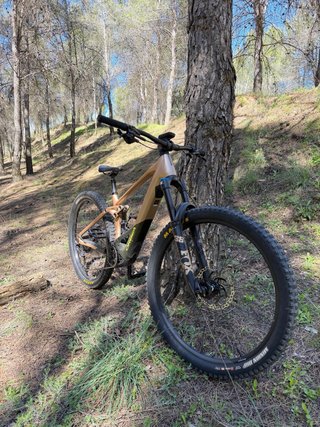 Orbea Wild H10 Talla M Eléctrica