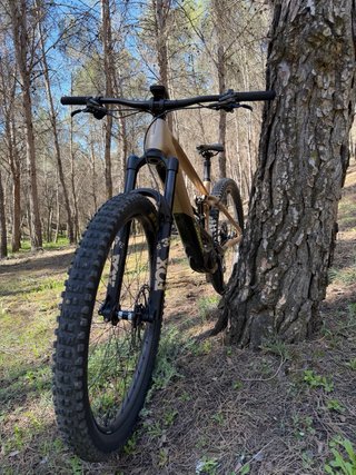 Orbea Wild H10 Talla M Eléctrica