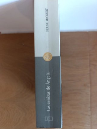 Las Cenizas De Angela / Angelas Ashes (Punto De...