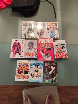 Libro/manga