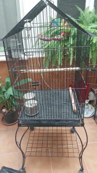 Jaula grande para pájaros