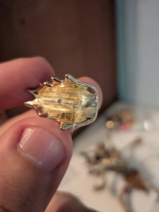 Skeleton Warriors Aracula completo