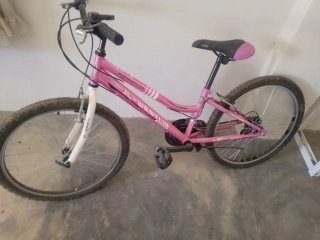 Bicicleta niña mediana rosa