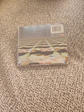 CD Bunbury Radical Sonora