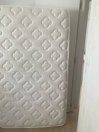 Conchon flex 105 de calidad y seminuevo