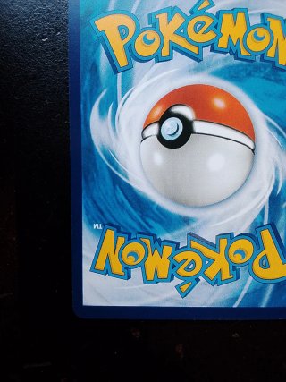 Blastoise Prima Edizione Carta Pokémon