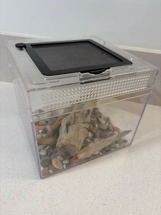 Terrario o Jaula 20x20 cm