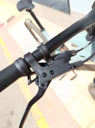EBIKE RAYMON TRAILRAY 120