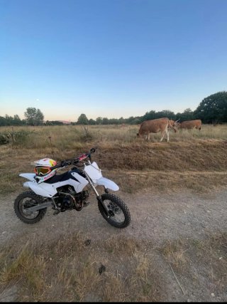 Moto Pit bike Enduro/Motocross Blanca