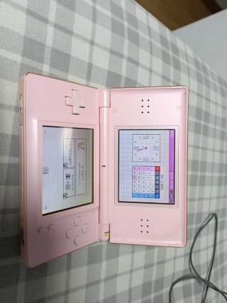 Nintendo DS Rosa