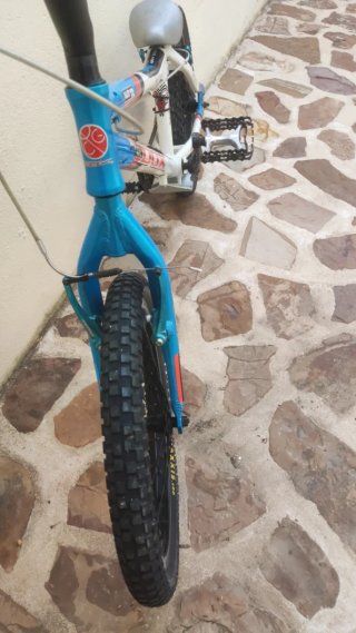 Bicicleta Trial