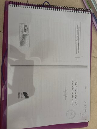 Libro accion tutorial primaria universidad