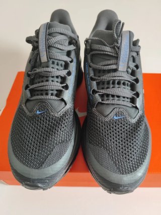 Zapatillas Nike Pegasus Premium