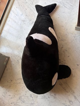 Peluche Orca Grande Negro y Blanco