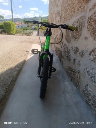 Bicicleta infantil verde RUSH SPITZ