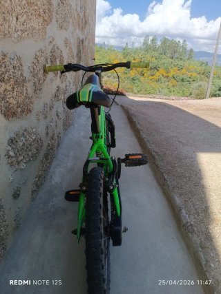 Bicicleta infantil verde RUSH SPITZ