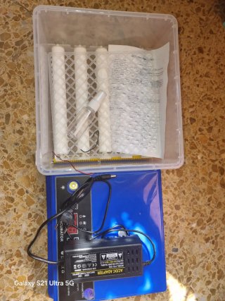 Incubadora de Huevos Azul