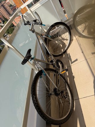 Bicicleta de montaña
