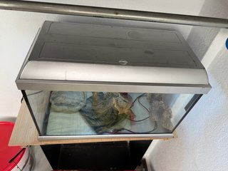 Terrario para mascota