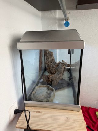 Terrario para mascota