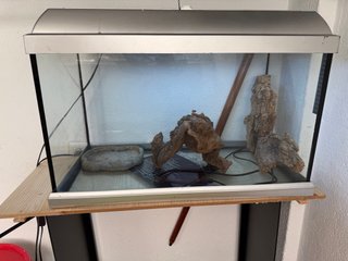 Terrario para mascota