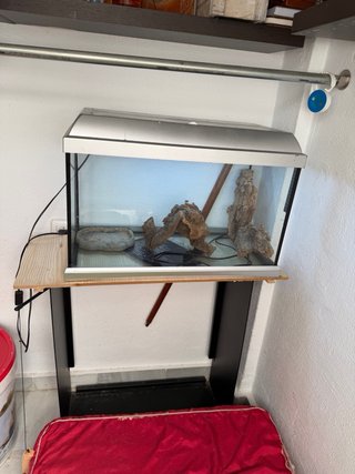 Terrario para mascota