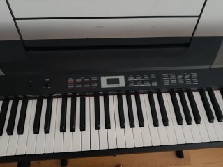 Thomann DP-26 Piano Digital