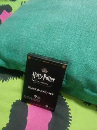 Set Imanes Harry Potter
