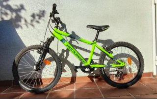 Bicicleta Rockrider ST 500 20 Verde