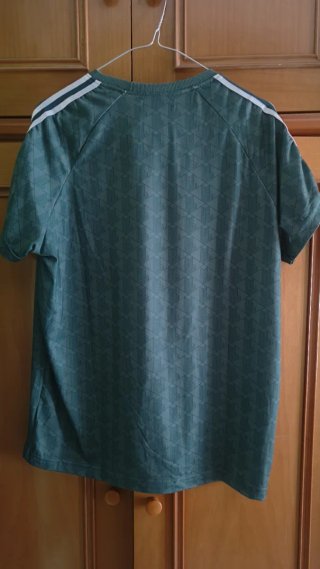 Camiseta Lacoste Verde