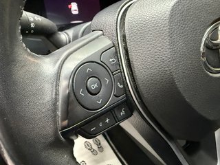 Toyota RAV4 Advance Plus  Techo Panoramico