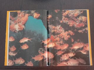 Libro Océano - Bajo Los Mares de Cristal
