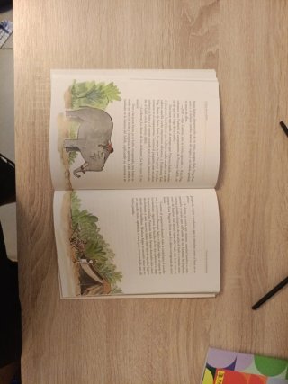 El libro de la selva
