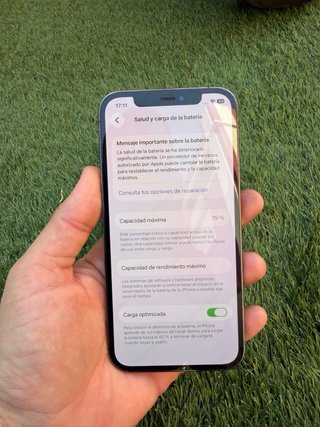 iPhone 12 Pro grafito