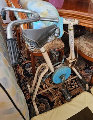 Bicicleta Estática Ciclostatic Vintage.