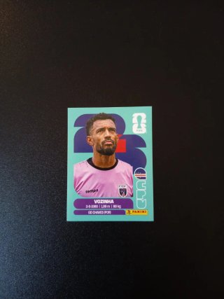 Cromo Mundial Vozinha FCF