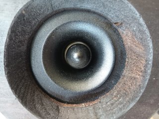 Beyma CP16,4 tweeters