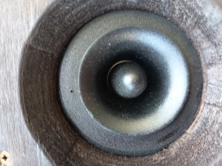 Beyma CP16,4 tweeters